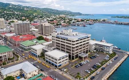 Building Wealth Back Home: Why the Jamaican Stock Market is the Best Investment for the Toronto Diaspora