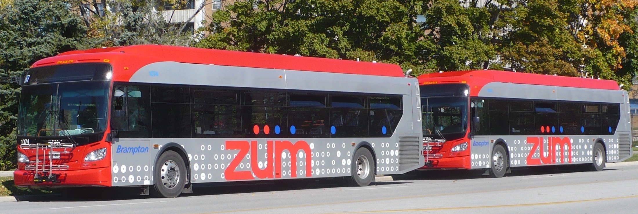 Brampton Transit Zum buses on layover