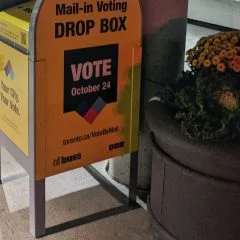The Hopeless Are the Busiest: What StatCan's Democracy Survey Really Says About Young Brampton