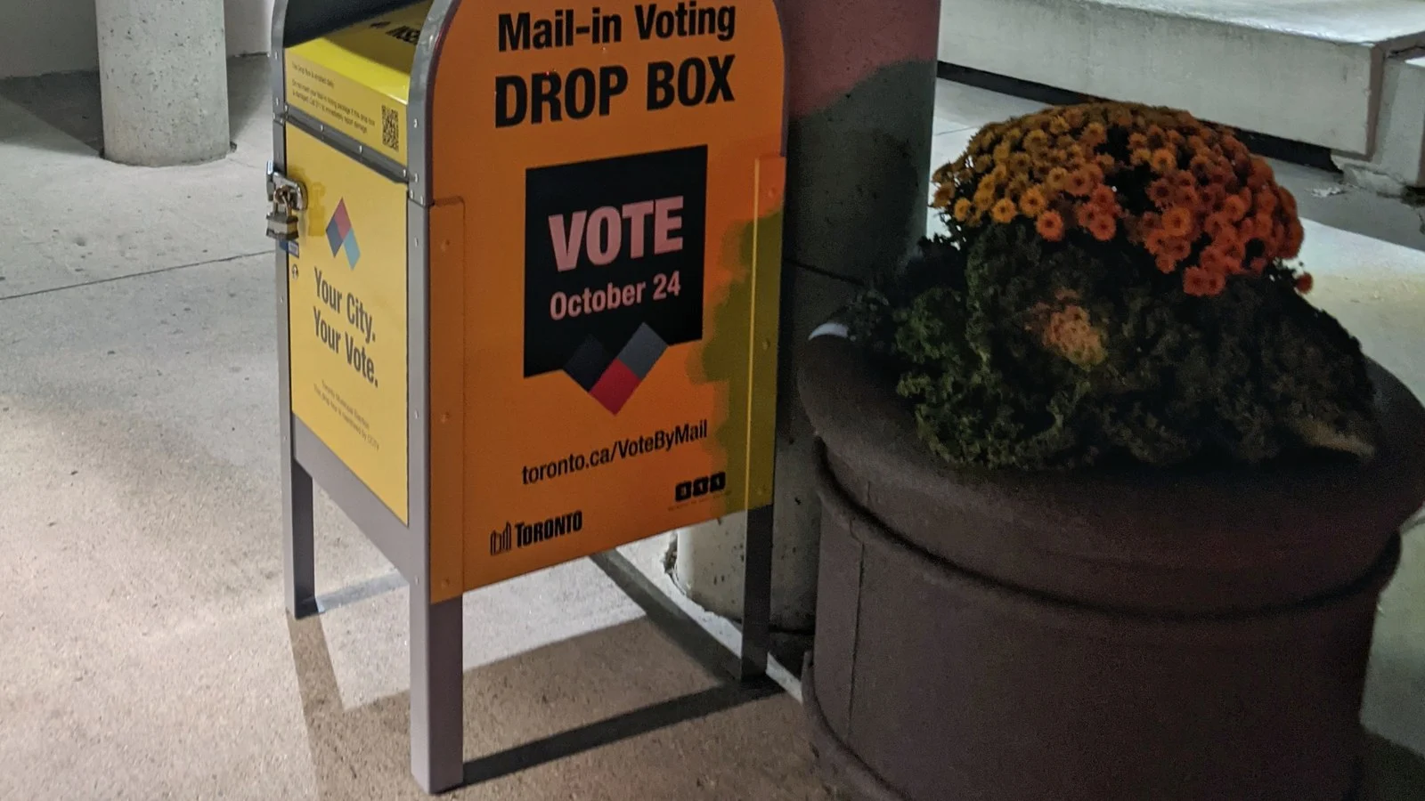 The Hopeless Are the Busiest: What StatCan's Democracy Survey Really Says About Young Brampton